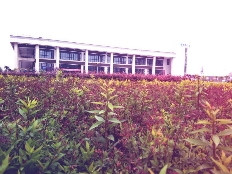 运营3144-王银超-乱了少年的心.jpg 运营3144-王银超-乱了少年的心.jpg