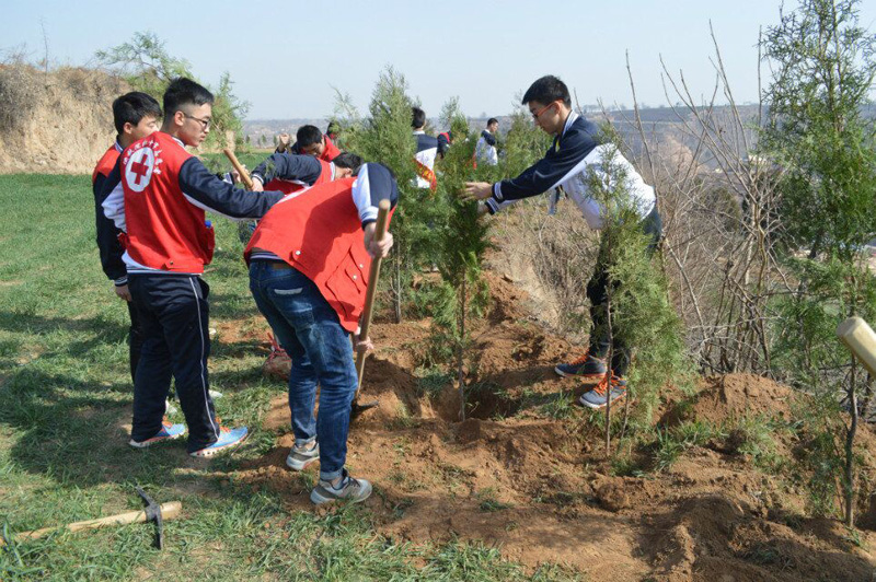 QQ图片20160311150505.jpg QQ图片20160311150505.jpg